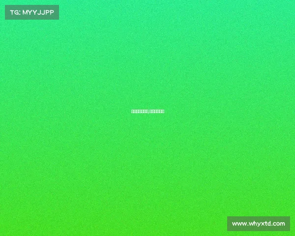 赛事平台是什么,赛事是啥意思